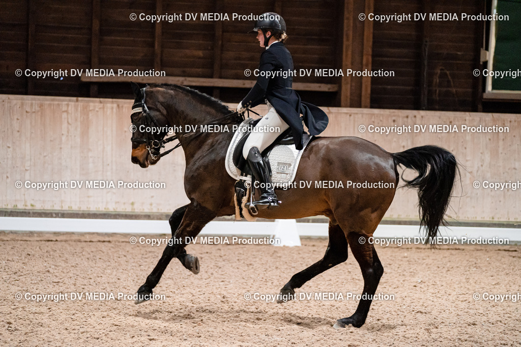 Dressur Tag 2-656 | dv-media-shop - Realisiert mit Pictrs.com