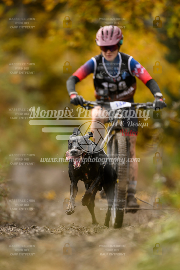 MompixPhotography_ICF_WC_2024_SA_Bike_-128 | PayLife