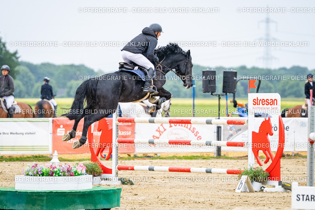 DSC08489 | Pferdegrafie