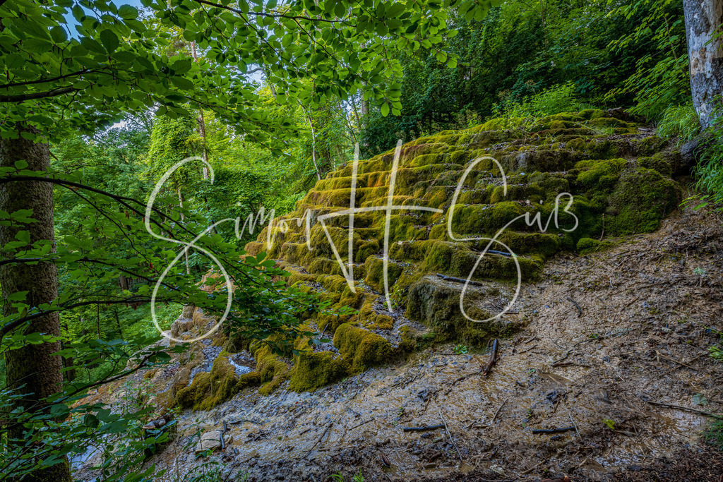 NSG bei Berching | simonsuess - Realisiert mit Pictrs.com