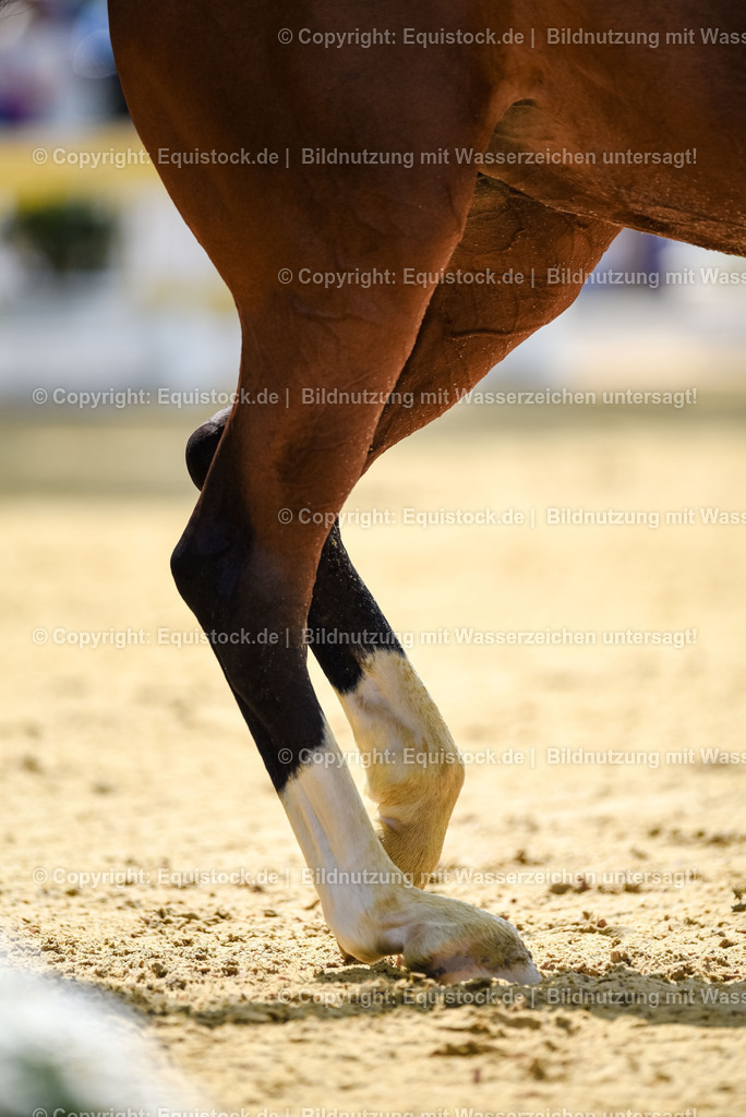 20250607_1_GP-Tour_Dressage_0175 | Foto: Thomas Hartig