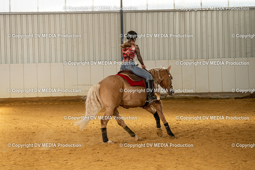 MIT00259 | dv-media-shop - Realisiert mit Pictrs.com