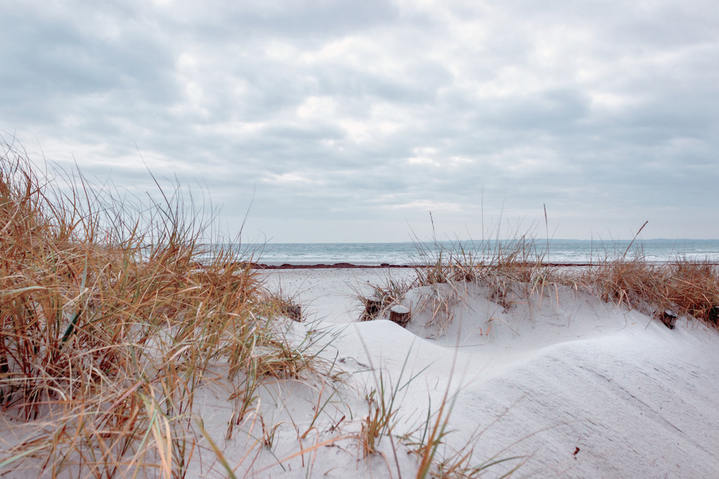 Wandbild: Düne und Strandhafer am Meer | Dieses Wandbild im Querformat zeigt eine kleine Düne bewachsen mit Strandhafer am Meer. Am Himmel befindet sich eine geschlossene Wolkendecke in einem eleganten hellgrau. Dieses Wandbild ist in einem stilvollen hellen Farbton gehalten und ist damit passend zu fast jedem Einrichtungsstil. Zudem ist der Farbumfang in diesem Wandbild reduziert. Die Sanddüne bringt einen natürlichen Sandton in Bild. Dieser wirkt beruhigend und gleichzeitig elegant. Holen Sie sich dieses traumhafte Strandmotiv auf Leinwand, Aluminium-Platte oder Acrylglas. Ideal fürs Wohnzimmer, Schlafzimmer, Küche, den Arbeitsplatz oder die Ferienwohnung.   - Realisiert mit Pictrs.com