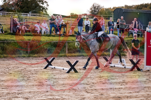 2026_10_03_Siefer-Hof_145110_Z81_29575034 | Professionelle Reitsport-, Turnier- und Eventfotografie von Robert Broda. Galerien mit ausgewählten und bearbeiteten Bildern direkt online ansehen und bestellen.