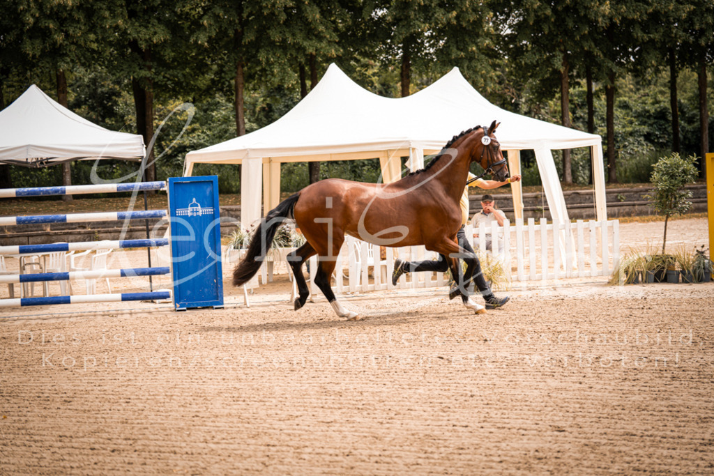 4.Fr00032 | Leoni Ertmer Photography - Realisiert mit Pictrs.com