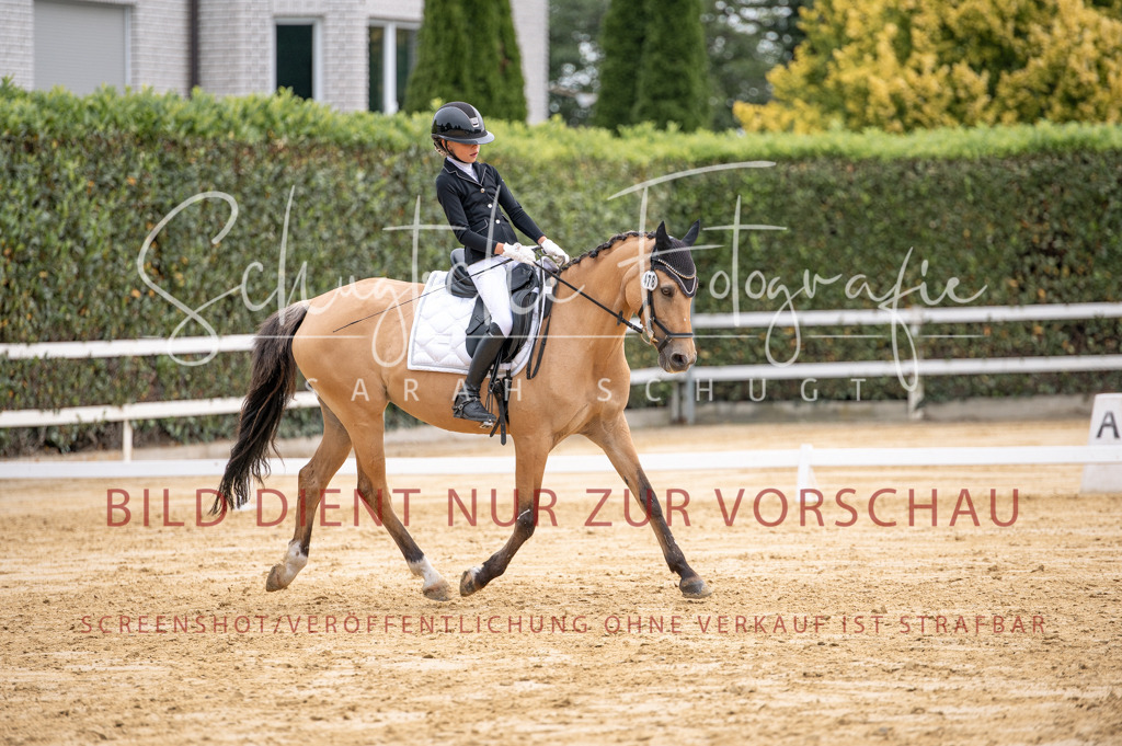 Schugtsche-Aluta25-40.DressurprfA_-335 | Schugtsche Fotografie - Realisiert mit Pictrs.com