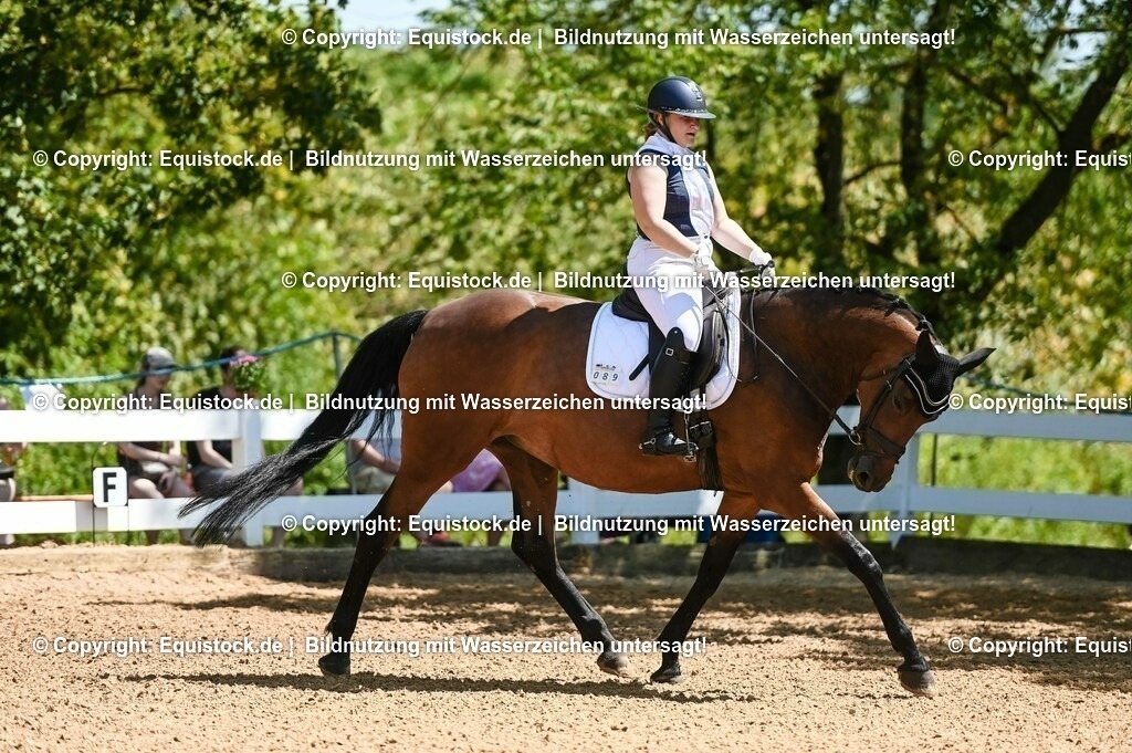 20230715_02_Dressurreiterprüfung Kl.L_0002 | equistock