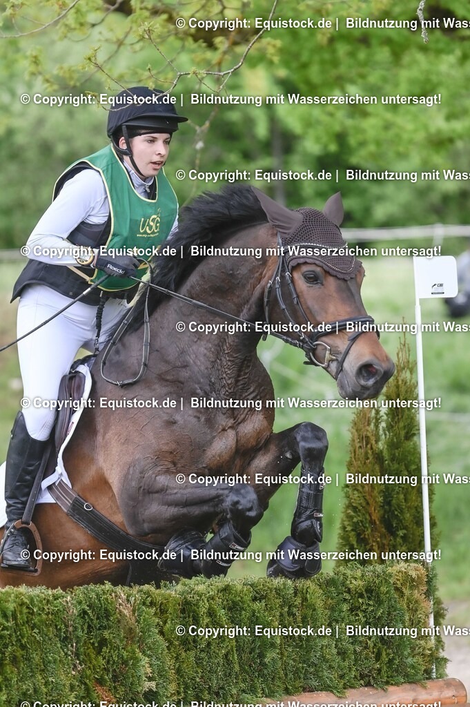 20250517_CCI1_Gelände_0612 | Foto: Thomas Hartig