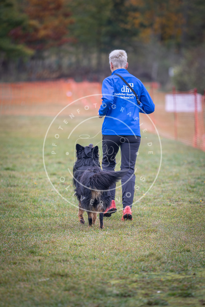 Pfotenfotografie_DV3A9337 | Hundefotografie, Tierfotograf, Pfotenfotografie, Fotoshooting Hund, Hunde Portrait, Hundesport, Hundeportraits, Heideshooting, Hunde, Sportfotograf, Hundefotograf, Turnierhundsport, THS,  - Realisiert mit Pictrs.com