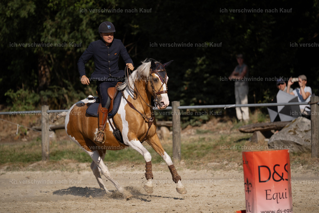 WS_SP_122_Stoibphotography_SO12211 | working equitationturnier fotograf videograf stoibphotography marixx film working equitation deutschland reitsport turnierfotografie eventfotografie equestrian events