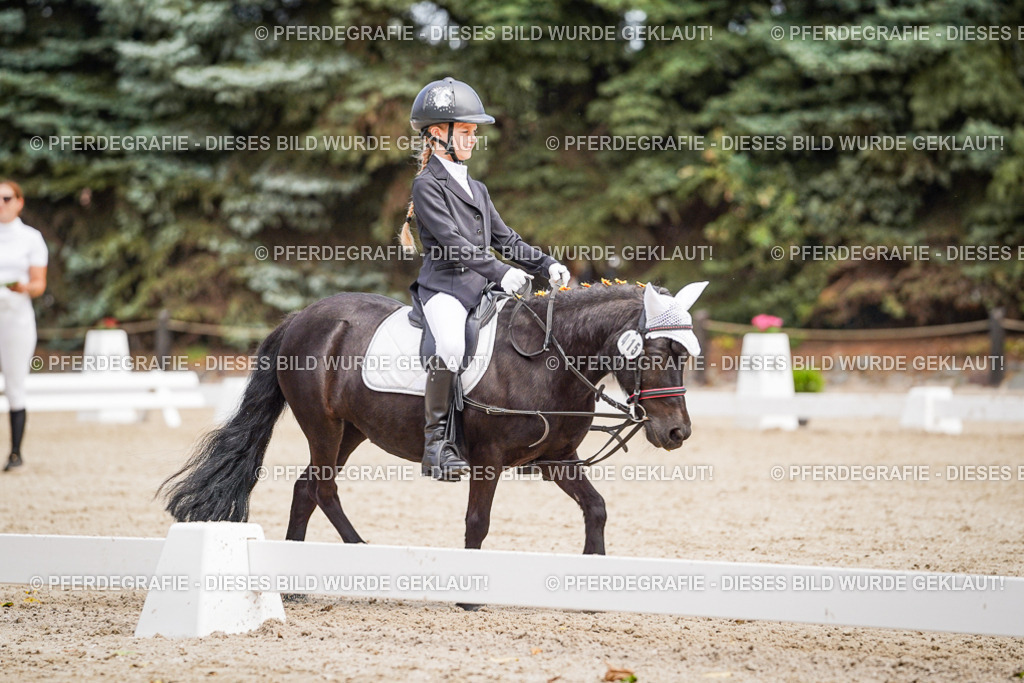 DSC02759 | Pferdegrafie