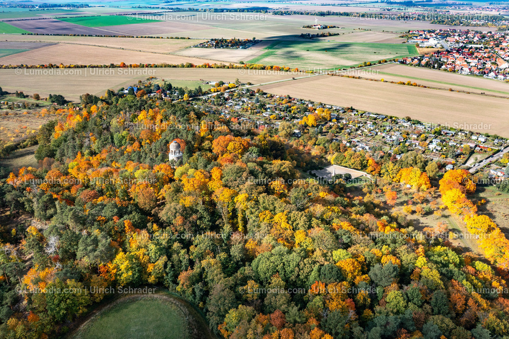 10049-52155 - Herbststimmung in den Spiegelsbergen | Stockfoto und Bilderpool mit Bildmaterial aus Deutschland, dem Harz, Halberstadt, Quedlinburg, Wernigerode und weltweit. Qualitativ hochwertige und professionelle Fotos anschauen und kaufen. - Realisiert mit Pictrs.com