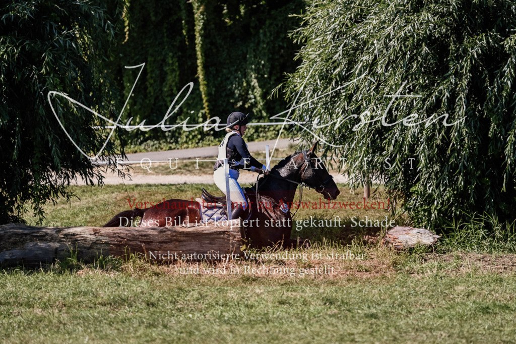 DSC_1848 | Pferde- und Turnierfotografie in Westsachsen. Pferdeportraits, Auftragszeichnungen und intuitive Kunst.