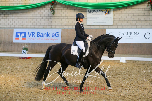 IMG_2558 | Turnierfotos kaufen im Webshop von Daniel Kuhl Photography – entdecke professionelle Reitsportfotos aus Turnieren & Events. Hochwertige Turnierbilder online bestellen & sichern. Jetzt Fotos von Reitsportturnieren kaufen!
