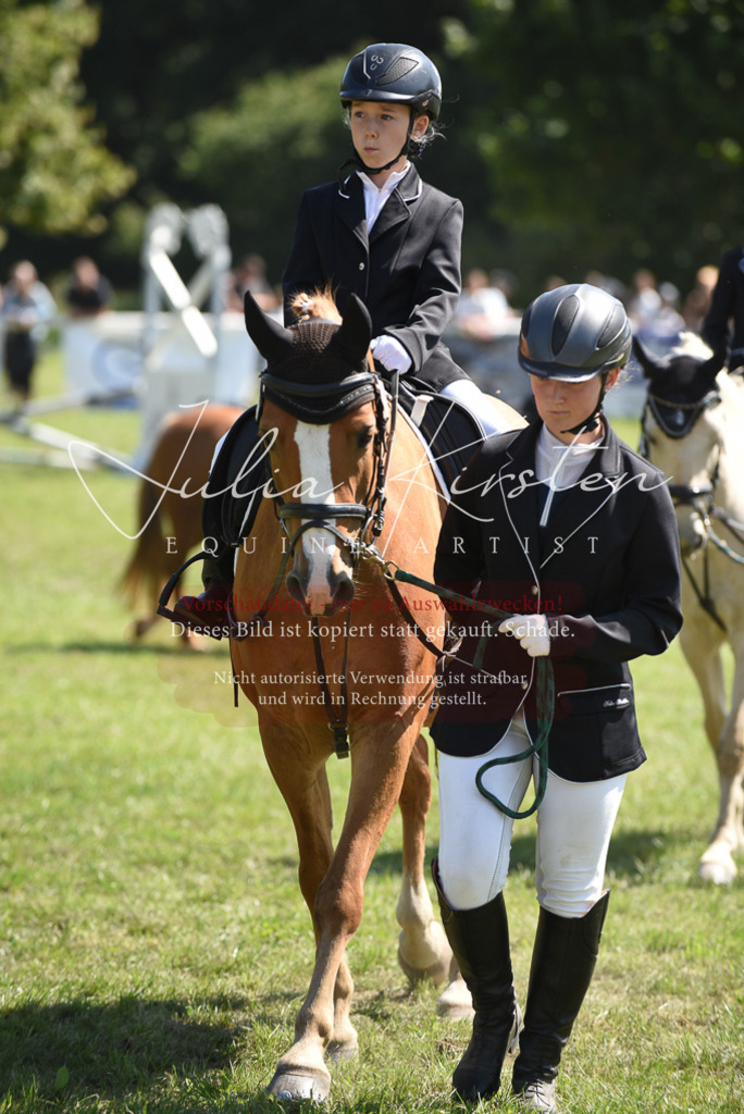 DSC_9707 | Pferde- und Turnierfotografie in Westsachsen. Pferdeportraits, Auftragszeichnungen und intuitive Kunst.