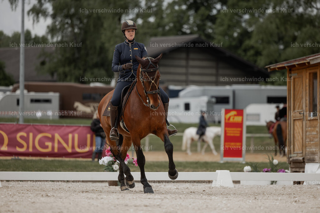 WE_DR_Stoib_340_ _PI2025_109 | Pferd International München 2025