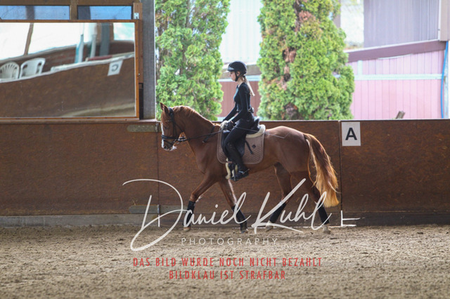 DKP42577 | Turniersportfotografie; Pferdefotografie; Dressurfotografie