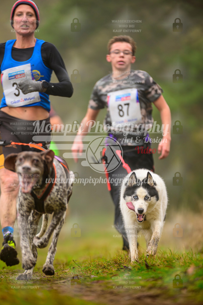 MompixPhotography_Bischwiller2025_Canicross-143 | mompixphotography