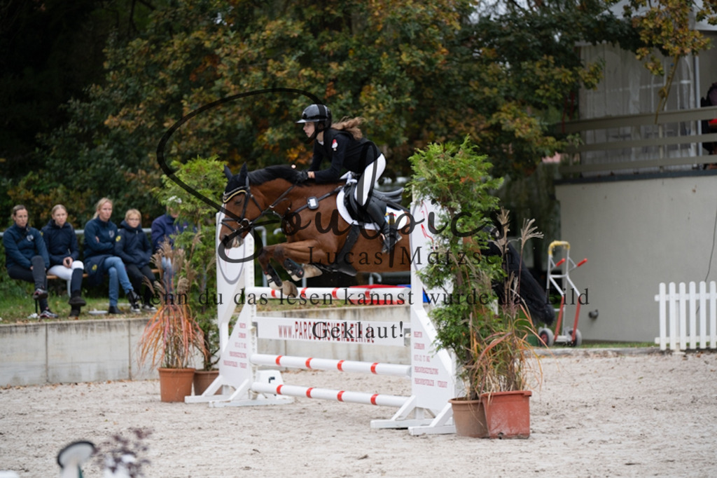 A7V09944 | Pferdefotograf