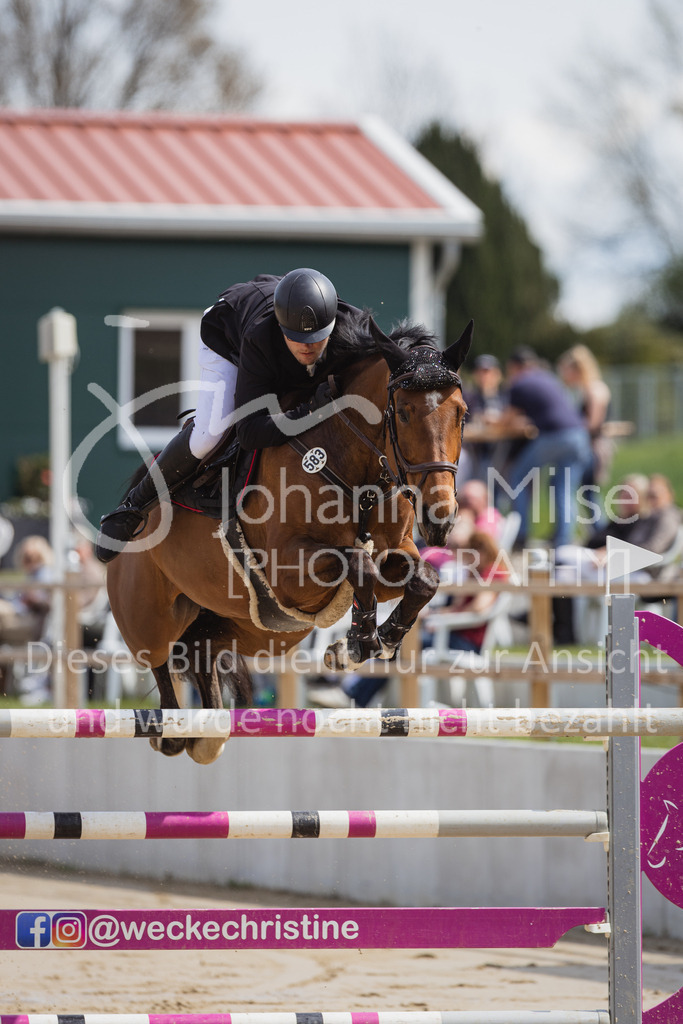 230501_SpengeW_M2St-203 | Deine schönsten Turniermomente als professionelle Fotos! Entdecke hochwertige Pferdesport-Fotografie im Online-Shop. Jetzt Fotos finden & bestellen!
