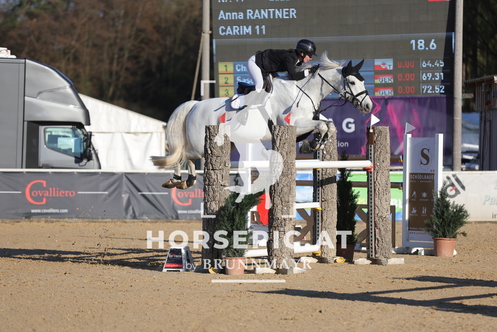 0P6A2264 | Willkommen bei Brunnmayr - Design & Fotografie – Ihrem Spezialisten für Reitturniere und Pferdeveranstaltungen in Oberösterreich, Salzburg und Bayern! Seit über 17 Jahren sind wir leidenschaftlich dabei.