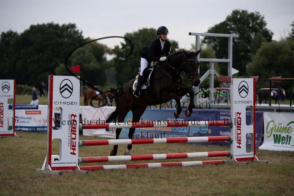 A7V07919 | Pferdefotograf