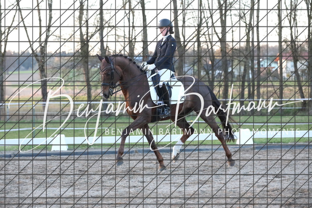 AZ2A7365 | Benjamin Bartmann Photomoments