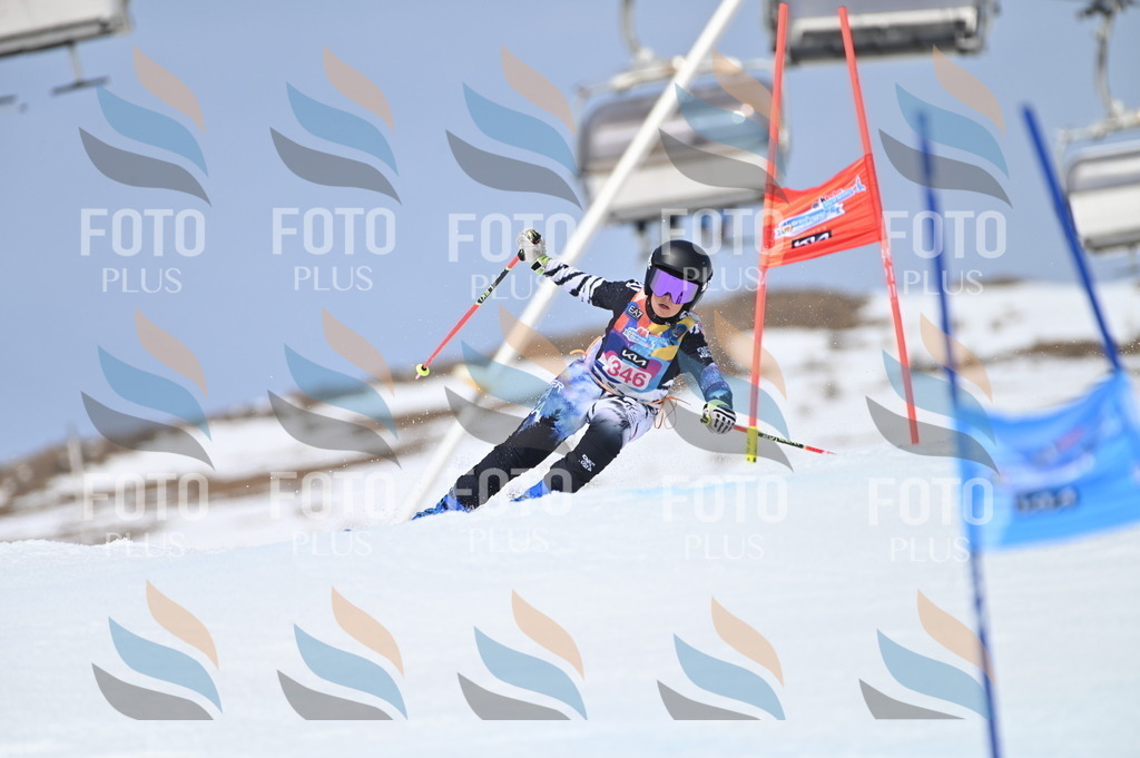 BGV_3549 | holidayphoto