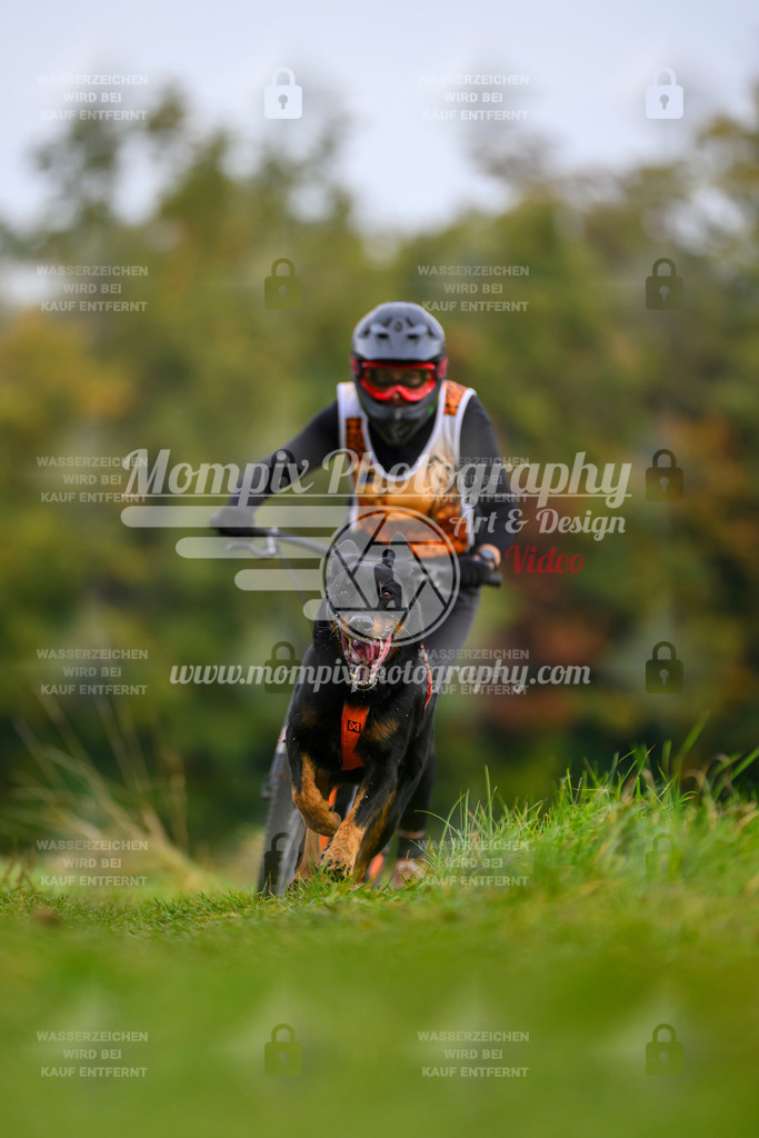 MompixPhotography_CDLBDB2025_DI_DS-86 | PayLife