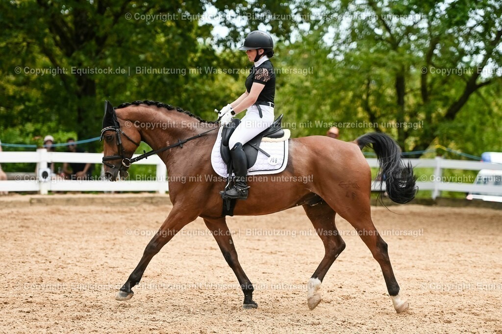 20230715_05_Dressurprüfung Kl.A++_0323 | equistock