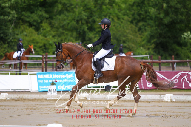 DKP40699 | Turniersportfotografie; Pferdefotografie; Dressurfotografie