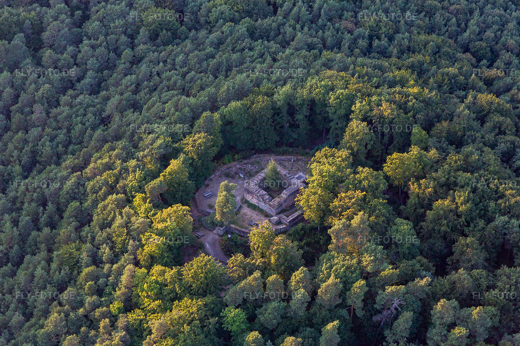 Luftbild: Waldschlössel in Klingenmünster im Bundesland Rheinland-Pfalz in Deutschland. Foto: IMG_134221.jpg vom 28.08.2022 durch Werner Riehm/FLY-FOTO.deWikipedia