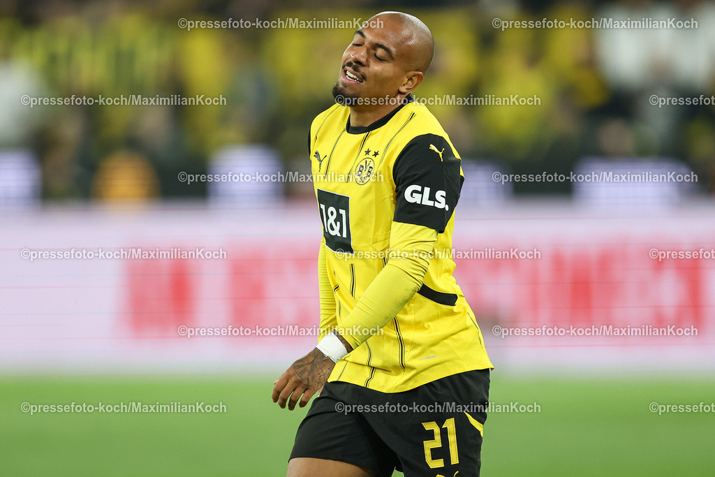 BVB13092402215 | 13.09.2024, 1. Fußball Bundesliga, Borussia Dortmund - 1. FC Heidenheim 1846, Signal Iduna Park, Saison 2024 2025: Donyell Malen (BVB #21)DFB regulations prohibit any use of photographs as image sequences and or quasi-video.