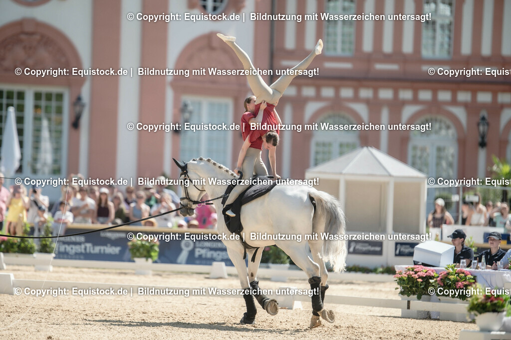 20230528_Voltigieren_NASPA_0336 | equistock