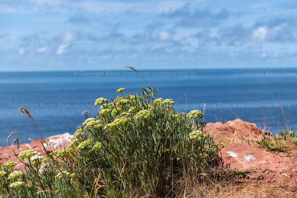 Helgoland_ELS_4115030818 | Helgoland - Aufnahmedatum: 04.08.2018, Aufnahmehöhe:  m, Koordinaten:  - , Bildgröße: 8256 x  5504 Pixel - Copyright 2018 by Martin Elsen, Kontakt: Tel.: +49 157 74581206, E-Mail: info@schoenes-foto.deSchlagwörter:Schleswig-Holstein,Landkreis Pinneberg,Düne,Hochseeinsel,Börteboote,Meer,Küste,Halunder,Oberland,Unterland,Strand,Seehunde,Robben,Lange Anna,Felsen,Roter Felsen,Luftbild,Luftbilder,Bastölpel - Realisiert mit Pictrs.com
