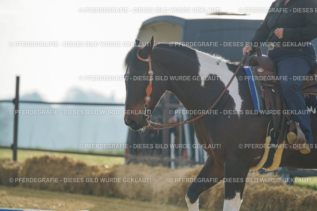 DSC09820 | Pferdegrafie