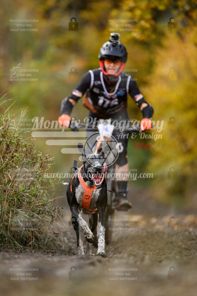 MompixPhotography_ICF_WC_2024_SA_Bike_-249 | PayLife