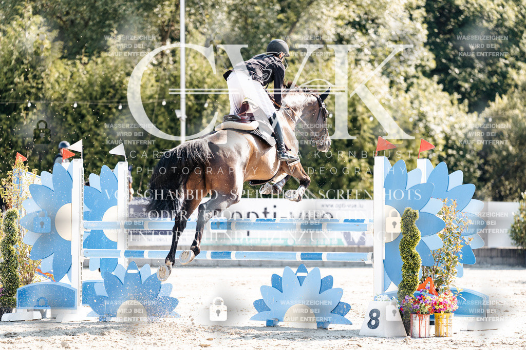 CK902302 | Turnierfotografie Pferdefotografie Trier Rheinland-Pfalz Pferdesport Reitsport Tierfotografie Sportfotografie Pferdevideo Pferdevideografie Equestrianvideography equestrianphotography  - Realisiert mit Pictrs.com
