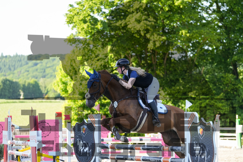 DSC02528 | Julian Held Fotografie - Realisiert mit Pictrs.com