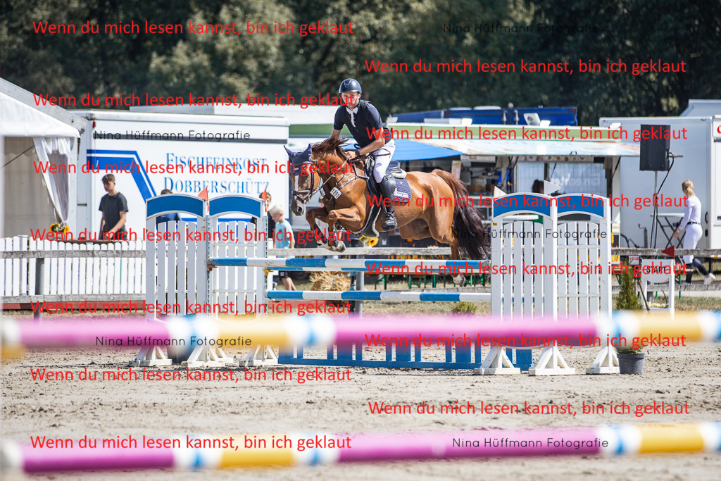 BK1A6484 | Turnierbilder Turnierfotos Nina Hüffmann Turnierfotografie Pferdefotografie Tierzeichnung Haustierzeichnung Pferdezeichnung Hundezeichnung Videograf  - Realisiert mit Pictrs.com