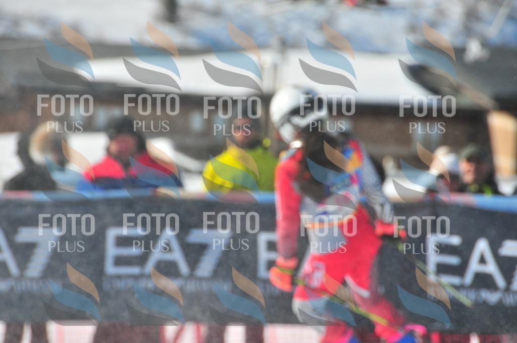 DSC_3820 | holidayphoto