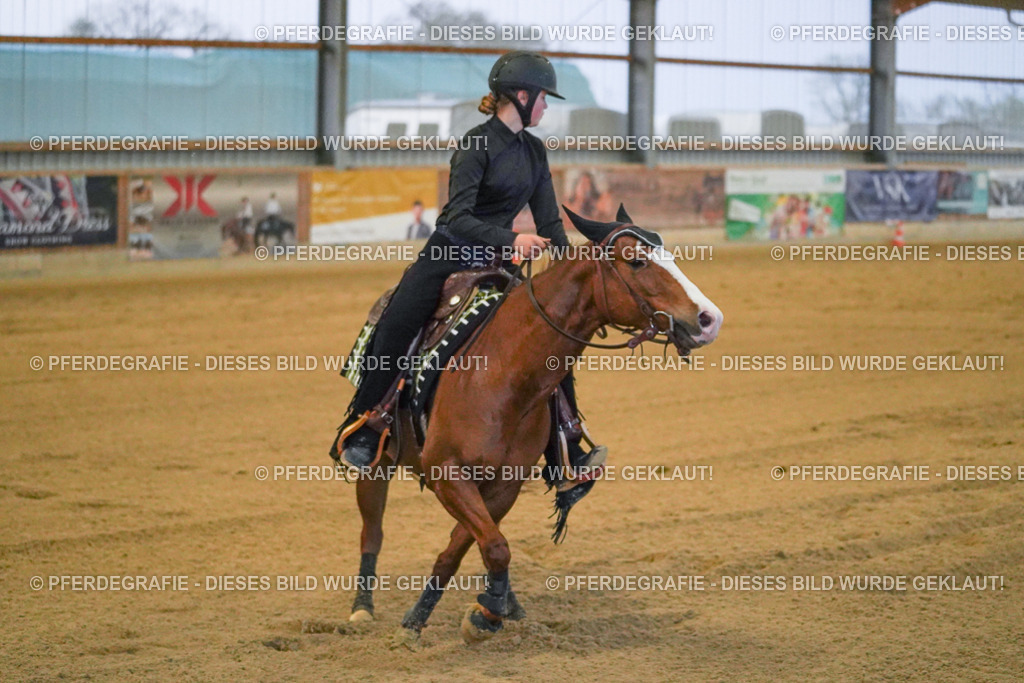 DSC09556 | Pferdegrafie