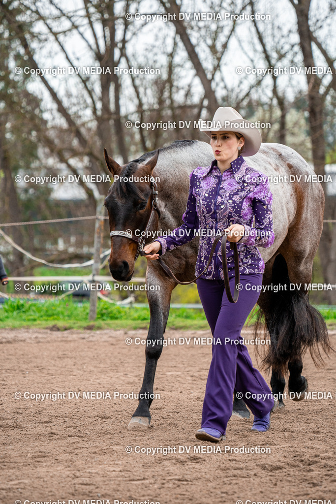 BA300113 | dv-media-shop - Realisiert mit Pictrs.com