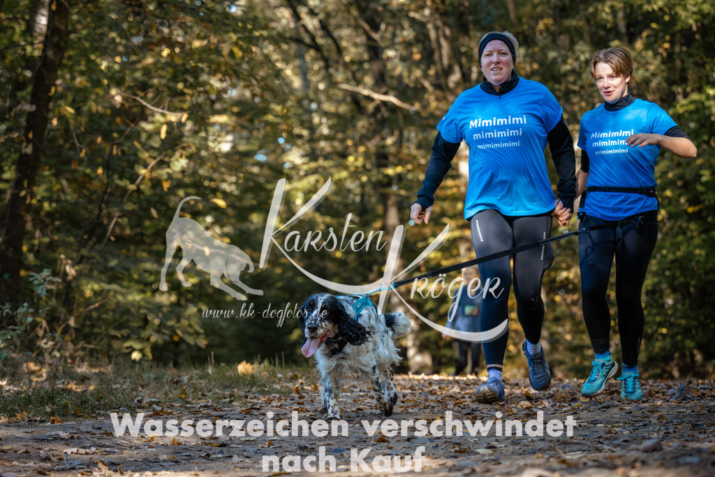 1134_ZZ92779 | kk-dogfotos