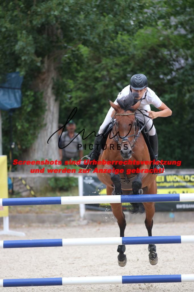 IMG_8131 | lmwpictures - Realisiert mit Pictrs.com