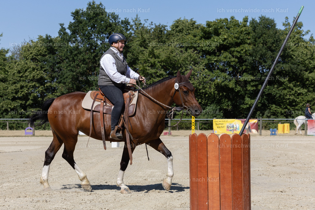 WE_Trail_107_KerstinBernhardt-9 | working equitationturnier fotograf videograf stoibphotography marixx film working equitation deutschland reitsport turnierfotografie eventfotografie equestrian events