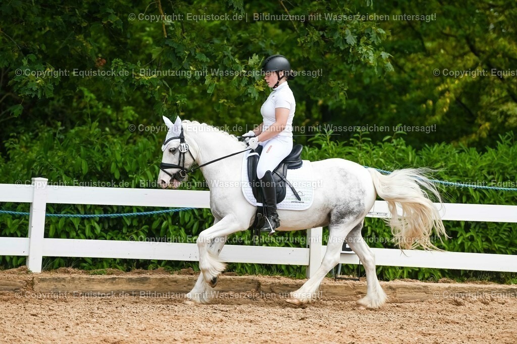 20230715_05_Dressurprüfung Kl.A++_0270 | equistock