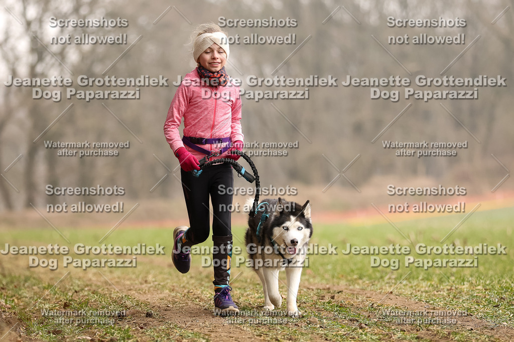 Dog Paparazzi - Plate 2026-110 | Dog Paparazzi Jeanette Grottendiek Fotografie & Videografie - Realisiert mit Pictrs.com