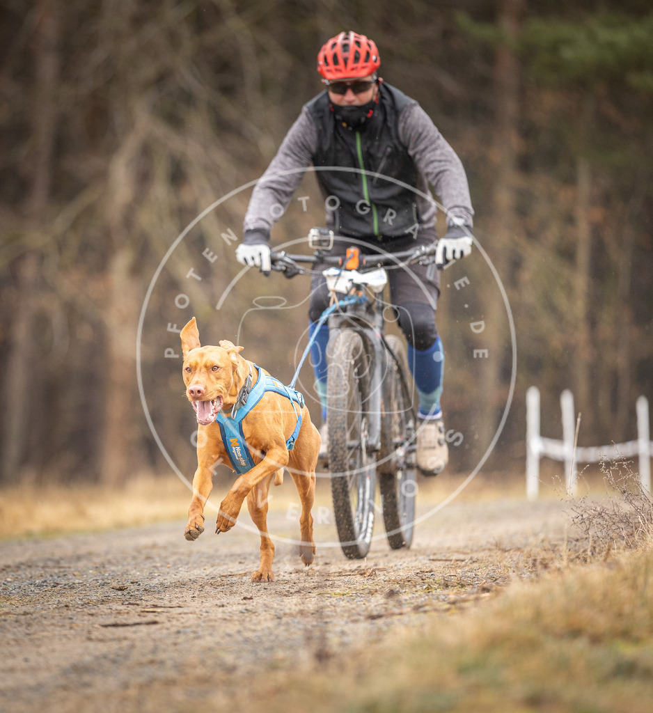 DV3A3314 | Hundefotografie, Tierfotograf, Pfotenfotografie, Fotoshooting Hund, Hunde Portrait, Hundesport, Hundeportraits, Heideshooting, Hunde, Sportfotograf, Hundefotograf, Turnierhundsport, THS,  - Realisiert mit Pictrs.com