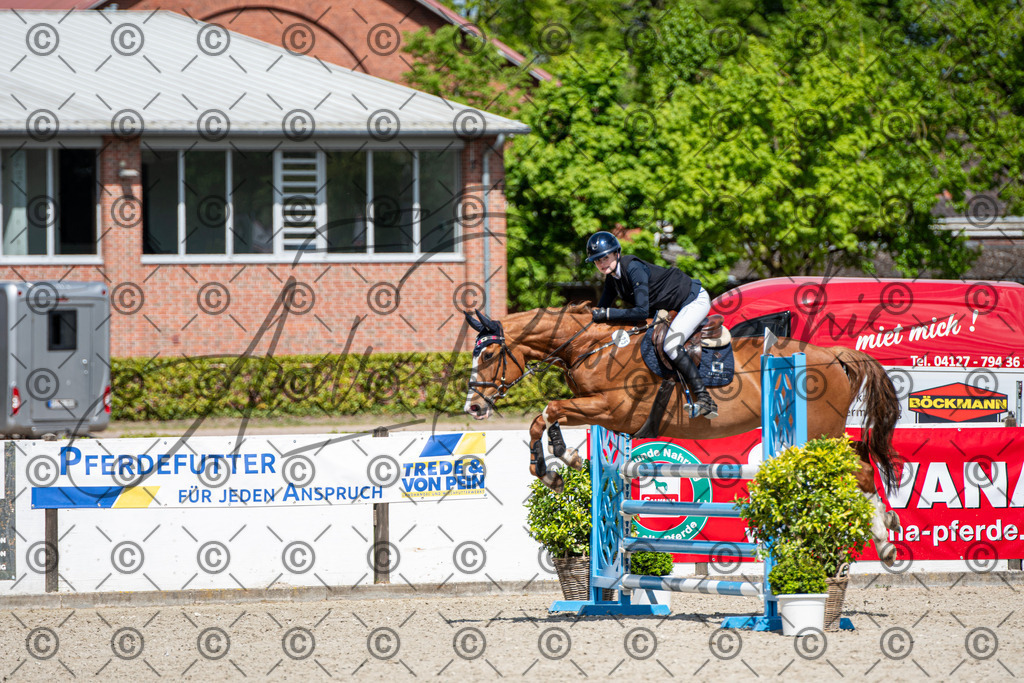 KPT_5164 | andre_photographic